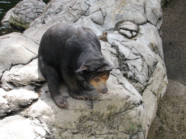 20100206 506.JPG